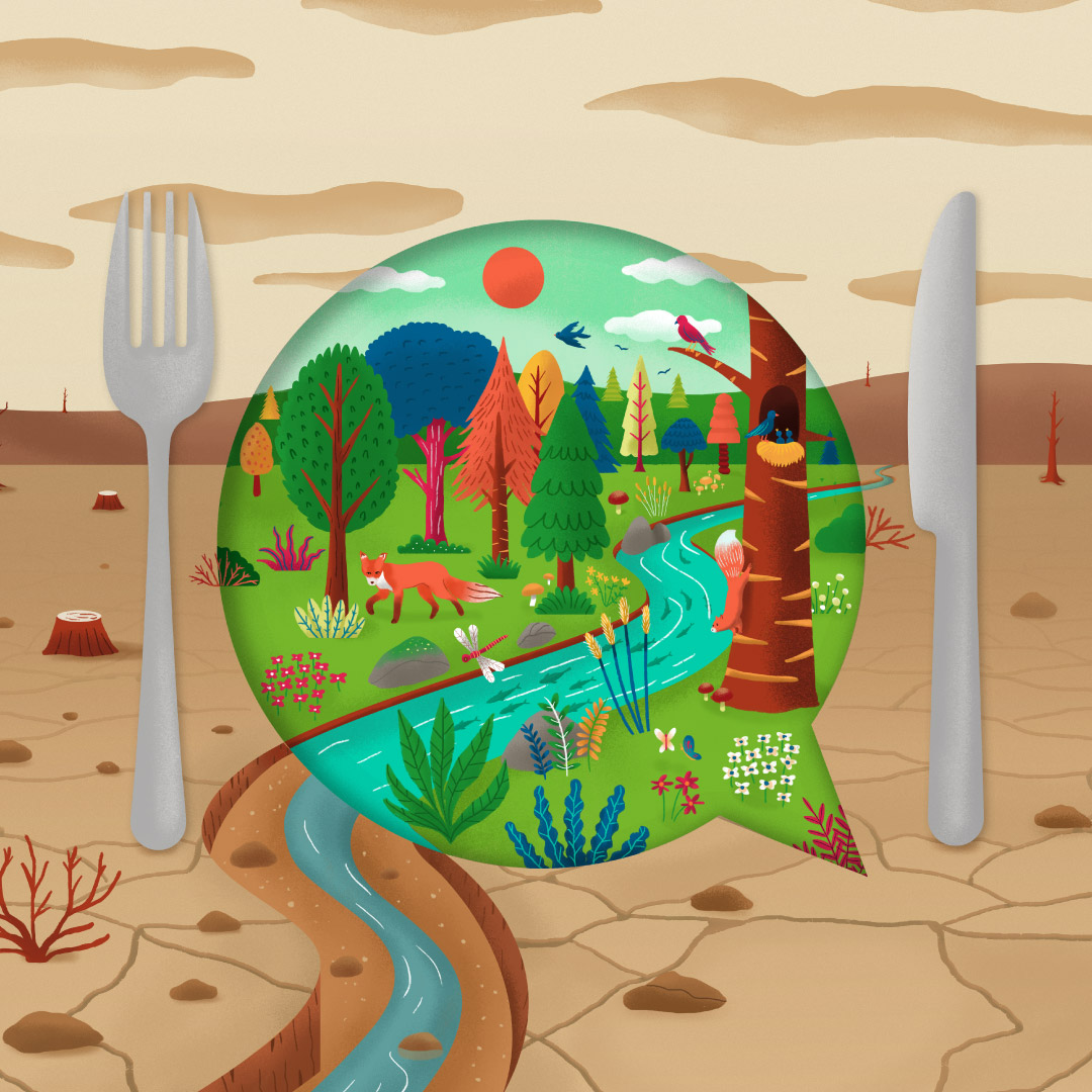 ANA AEROPORTO campaign for “Veggie Wednesday". The image depicts a plate with a colorful environment vs a dry landscape. 